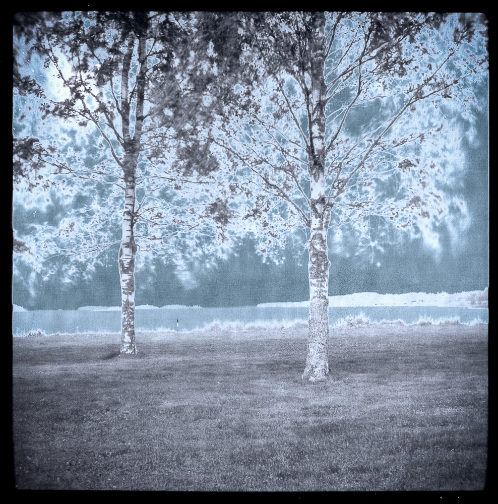 7 Wege / 7 Dróg / 7 Ways