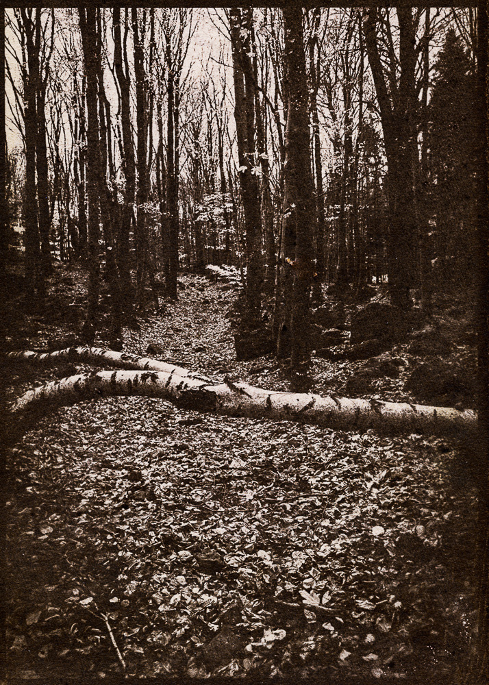 7 Wege / 7 Dróg / 7 Ways